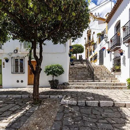 Old Town, Historic Townhouse, Rooftop And Courtyard Σπίτι διακοπών Εστεπόνα